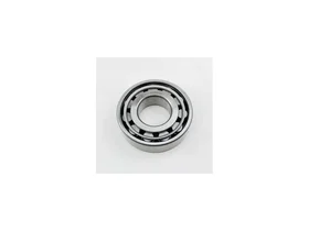 Подшипник URB N310